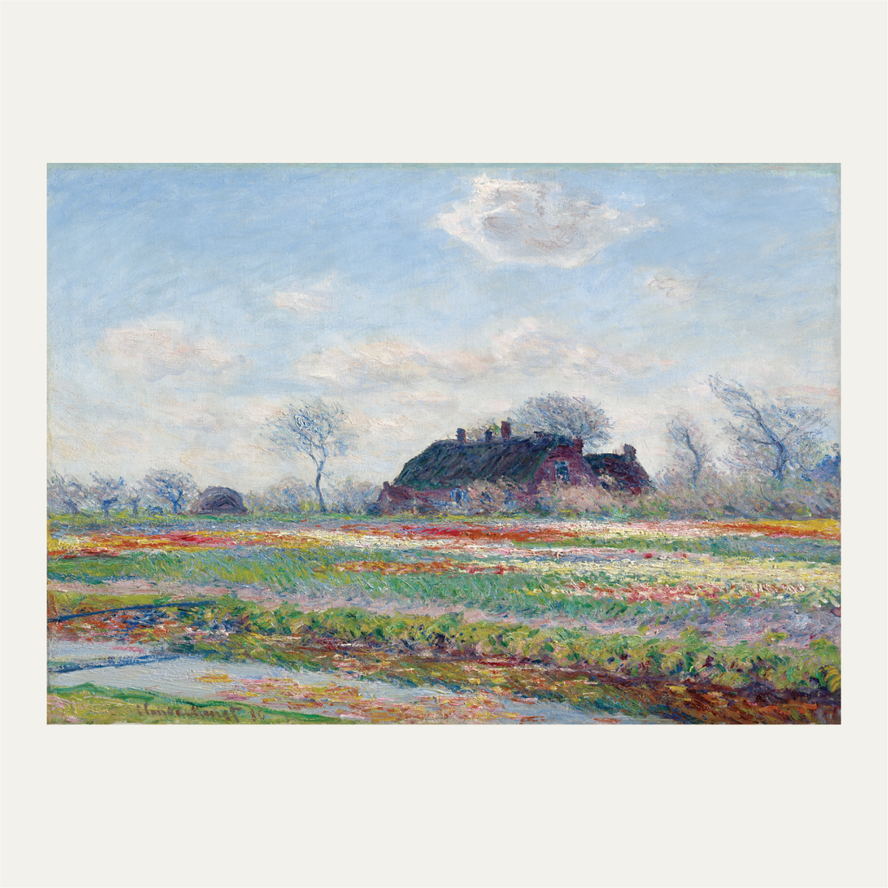 Tulip Fields at Sassenheim