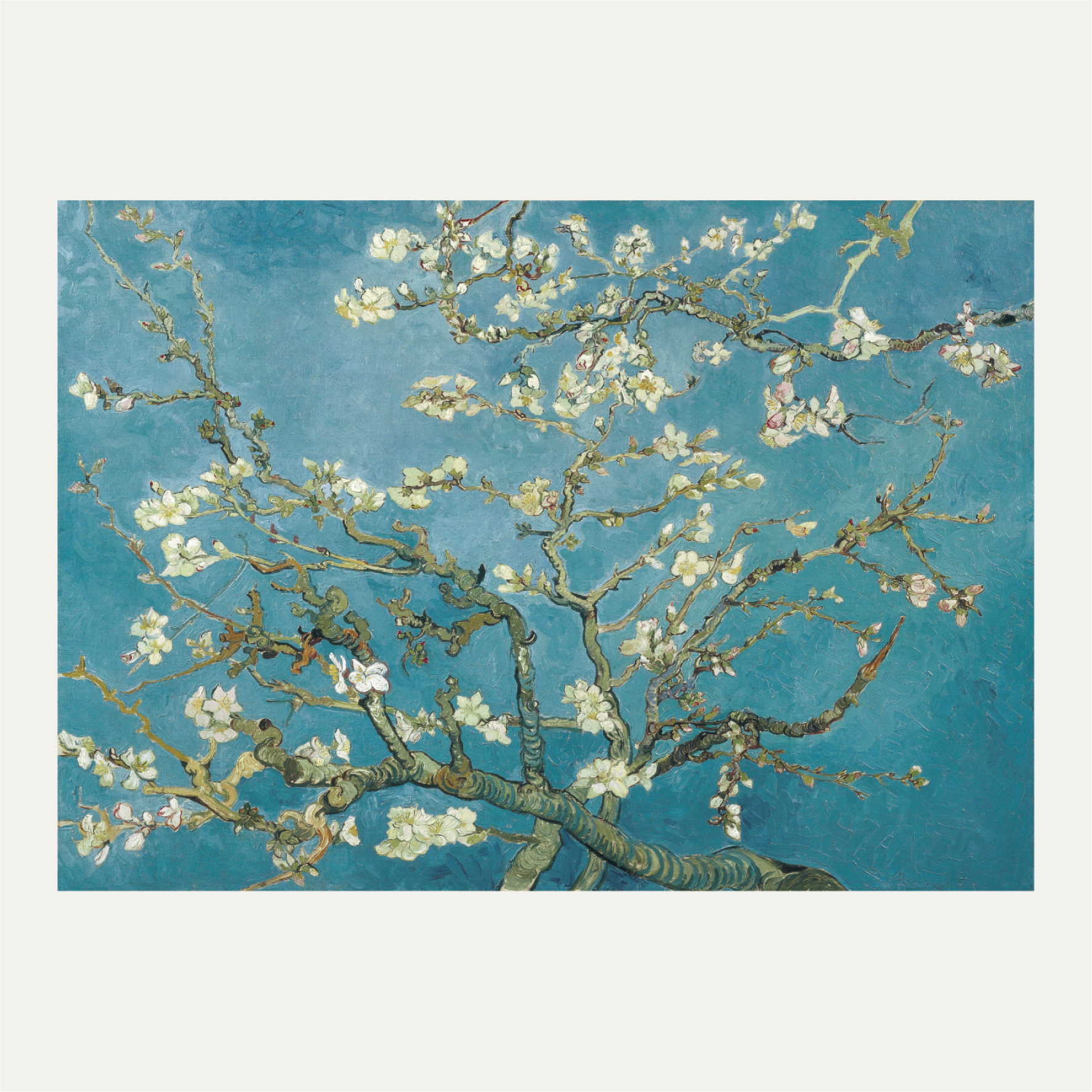 Almond blossom