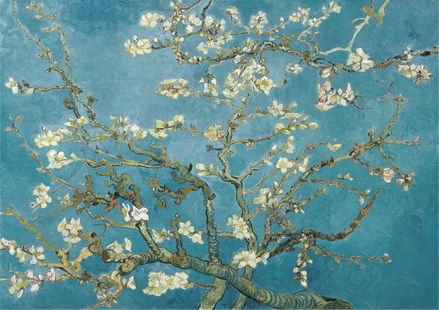 Almond blossom