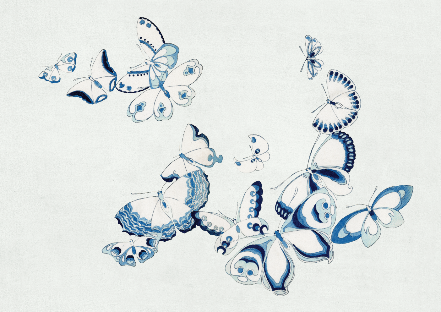 Japanese butterflies 1