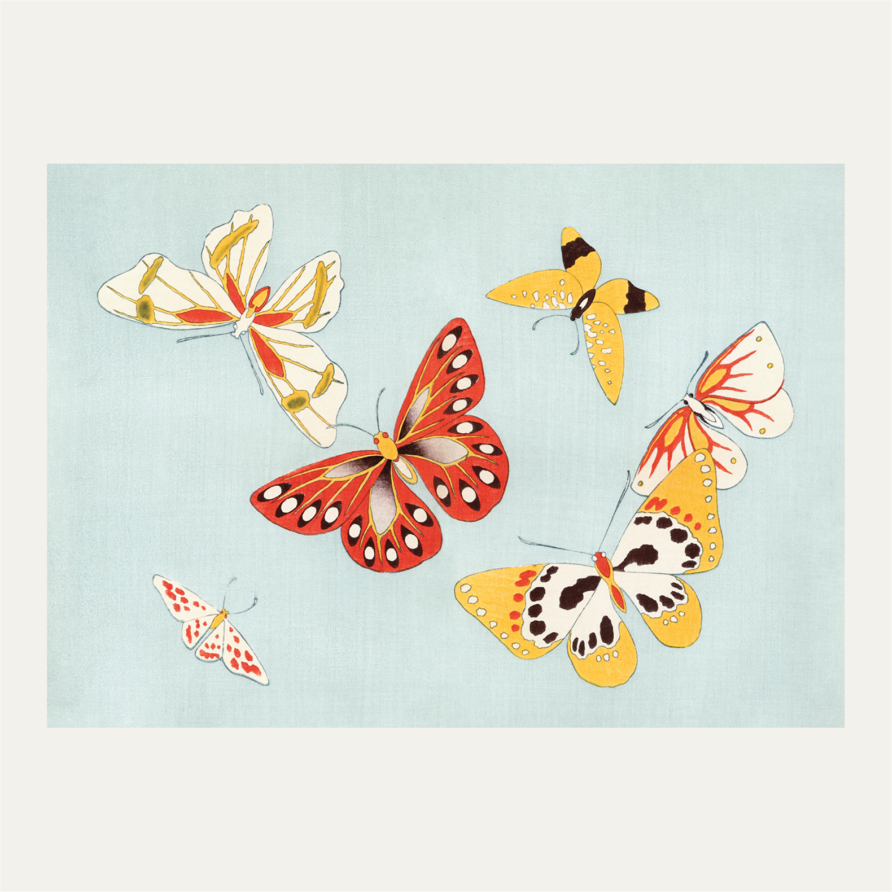 Japanese butterflies 2