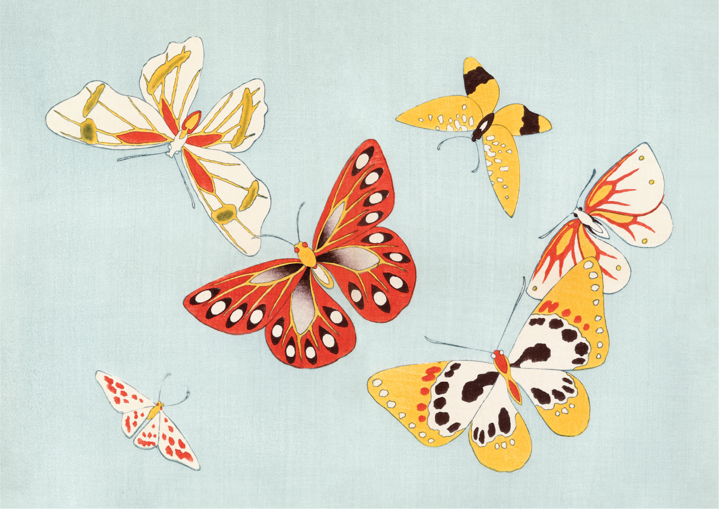 Japanese butterflies 2