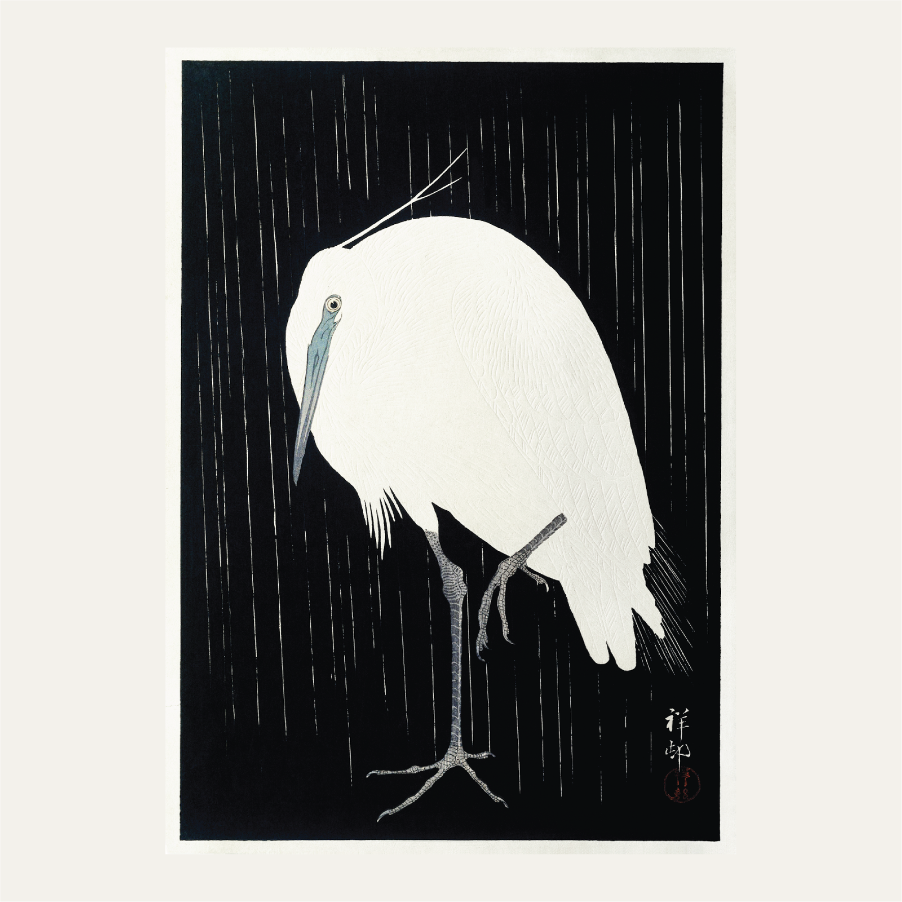 Egret in the rain