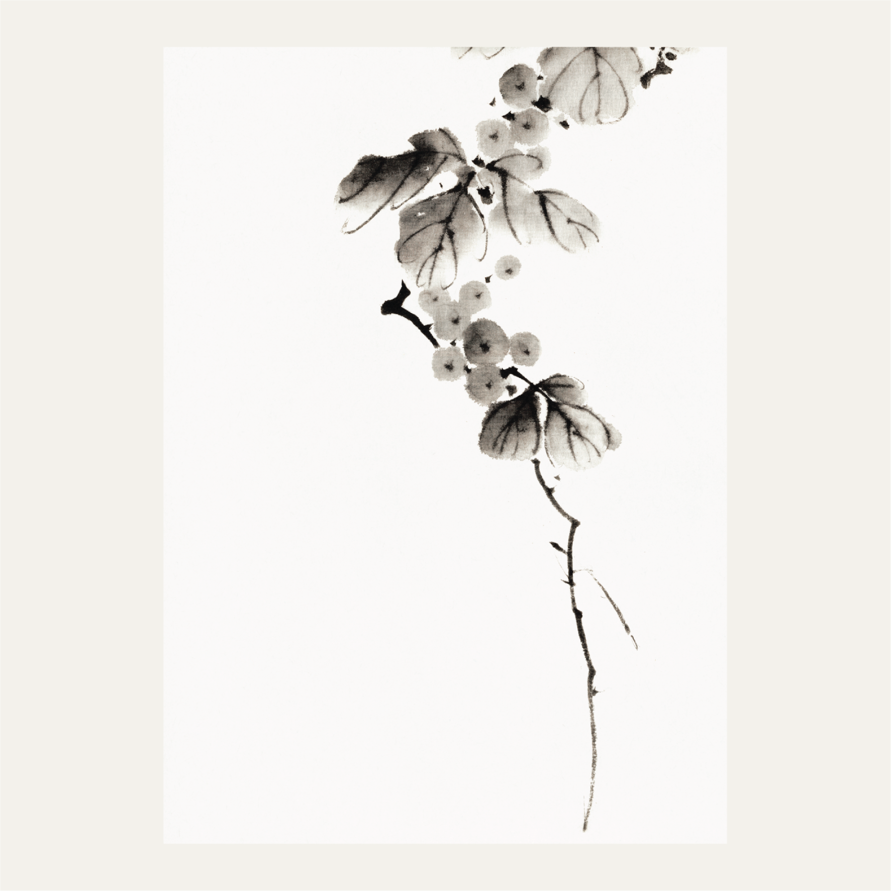 Berry branch