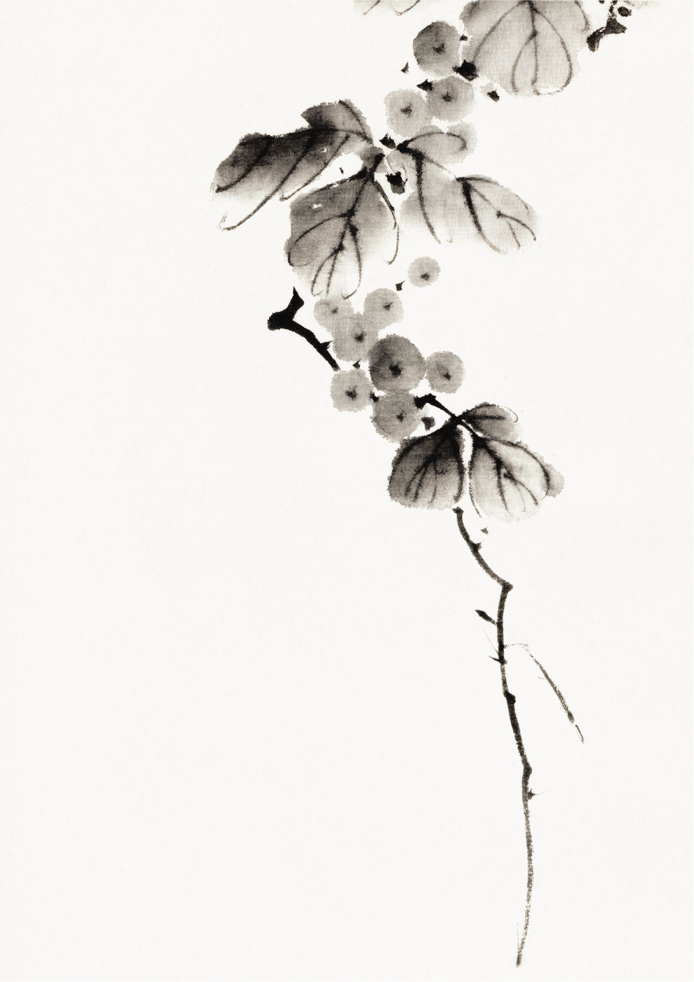Berry branch