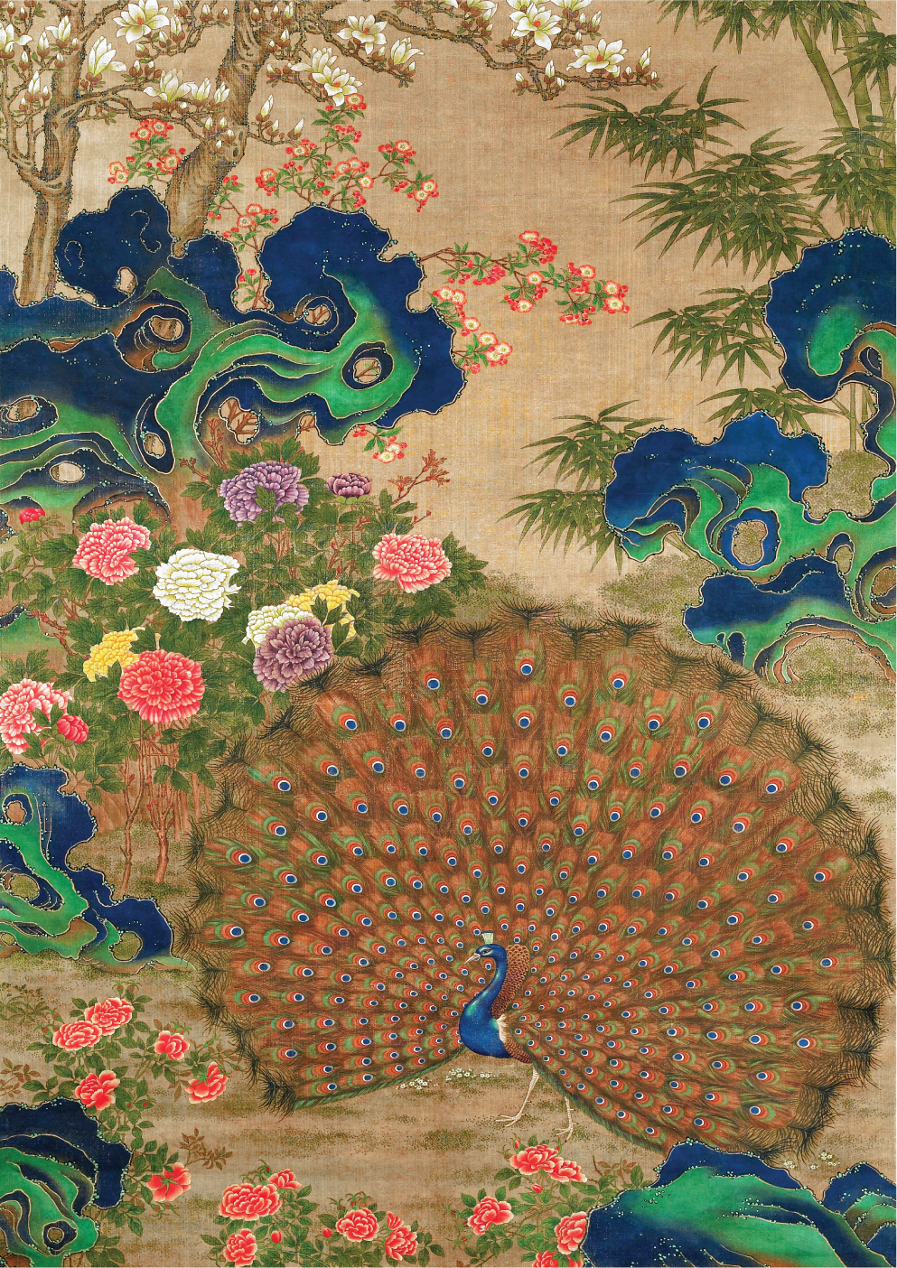 Chinese peacock and flowers