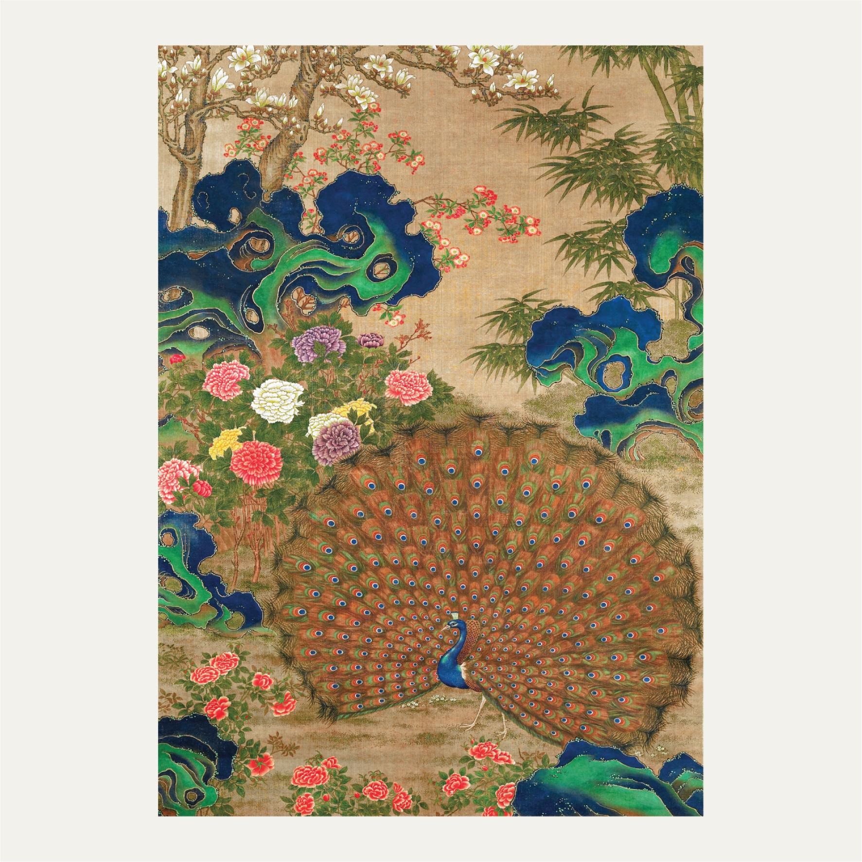 Chinese peacock and flowers