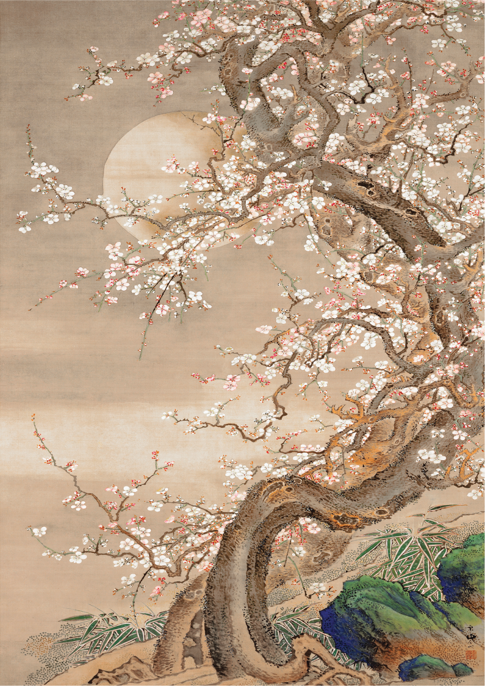 Japanese plum blossoms in moonlight