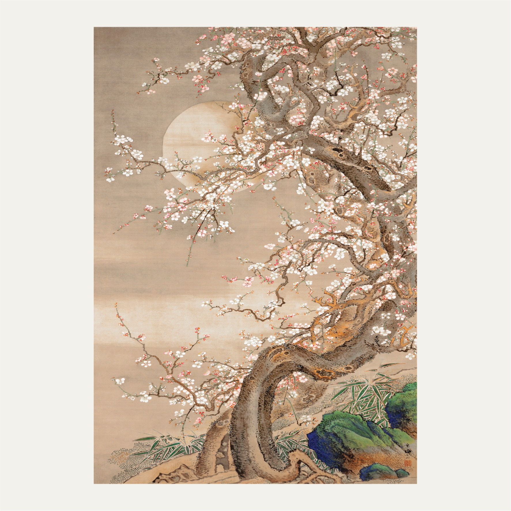 Japanese plum blossoms in moonlight