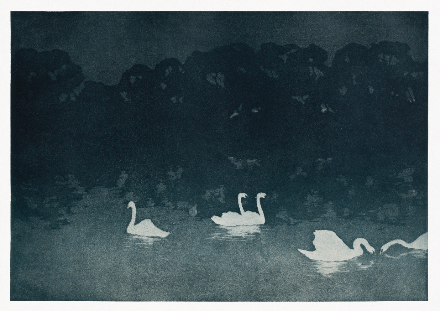 Les Cygnes