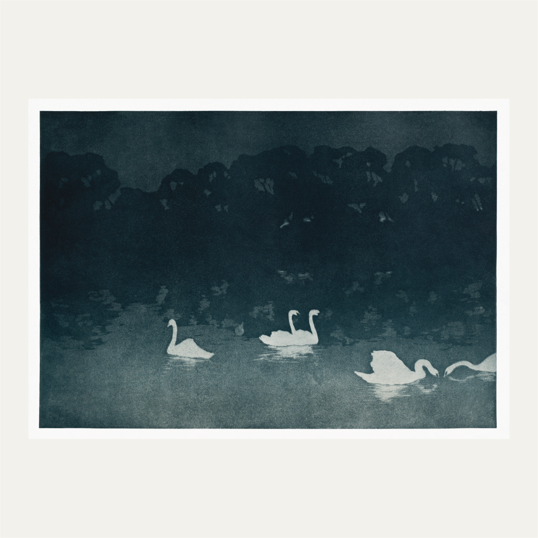 Les Cygnes