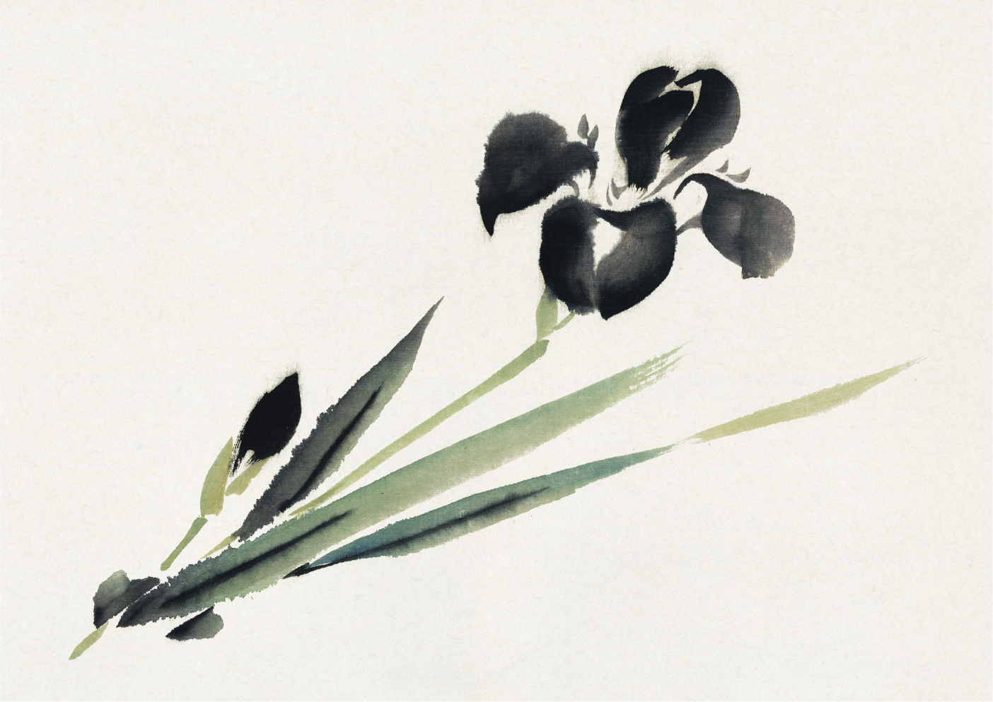 Iris, Ukiyo-e style