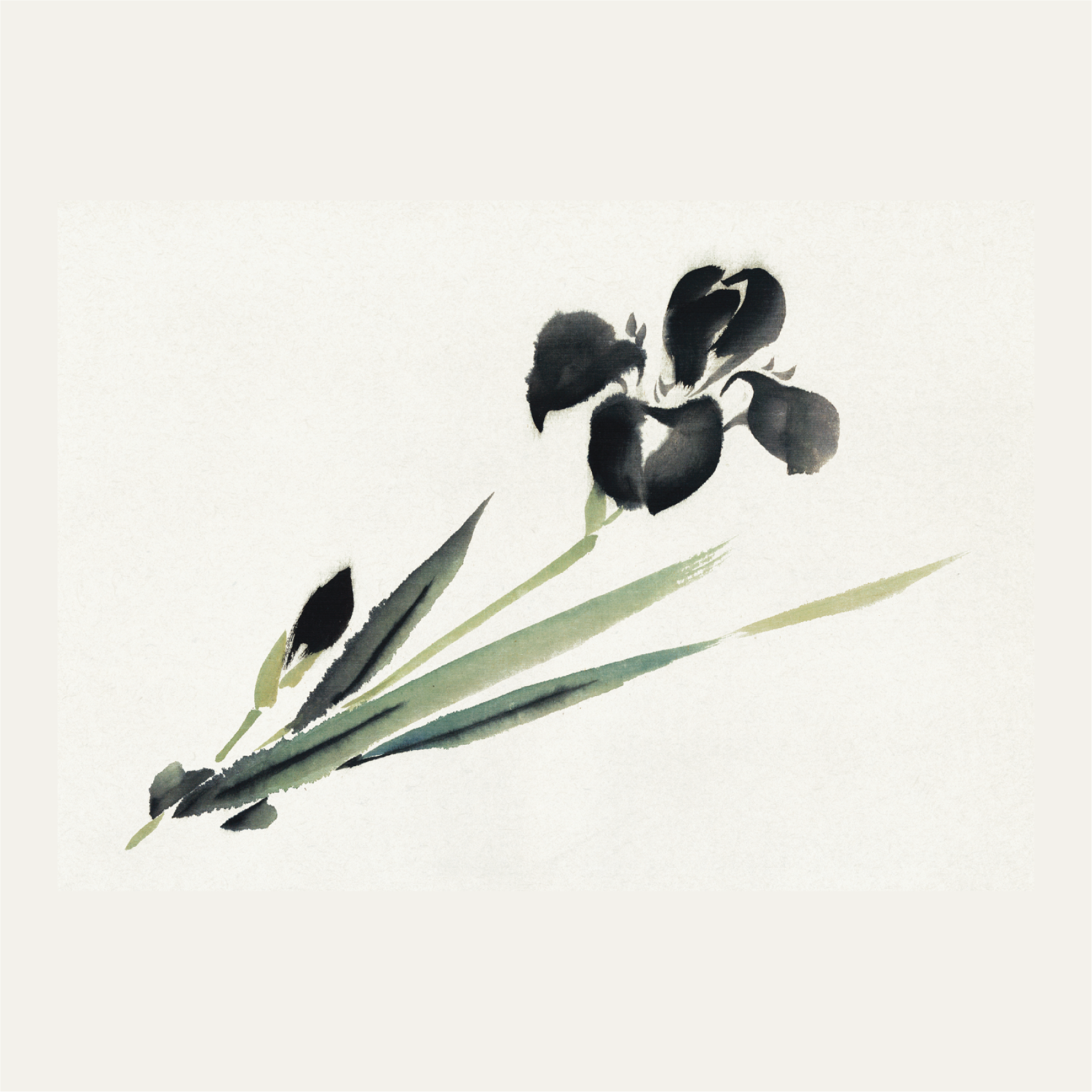 Iris, Ukiyo-e style