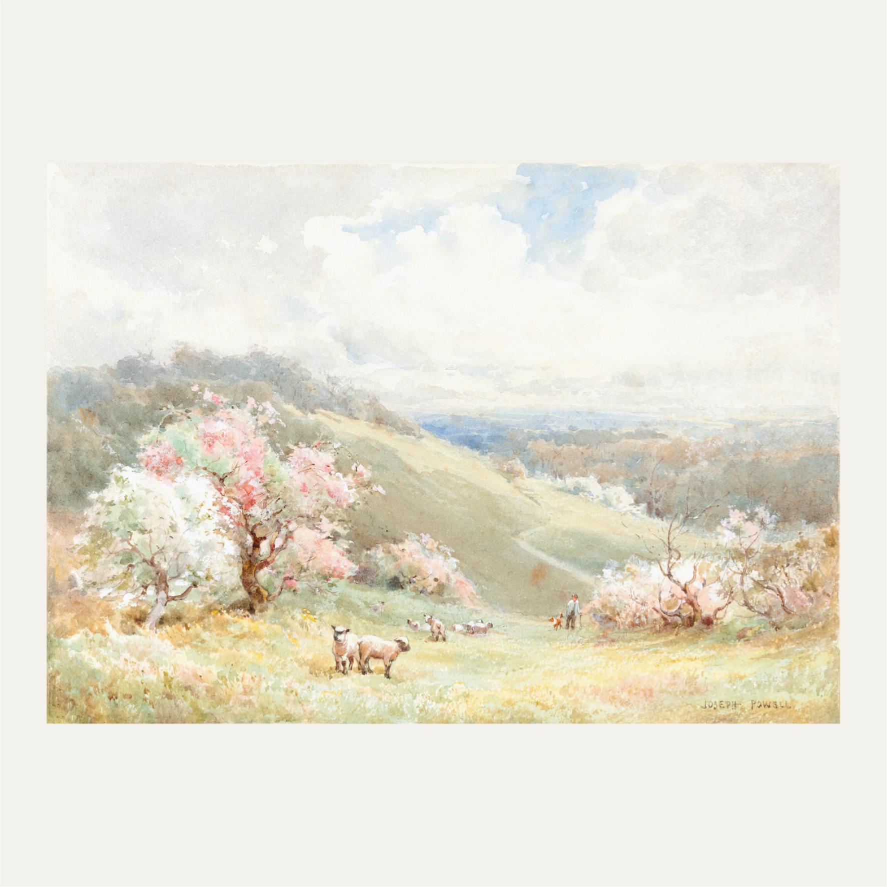 Spring