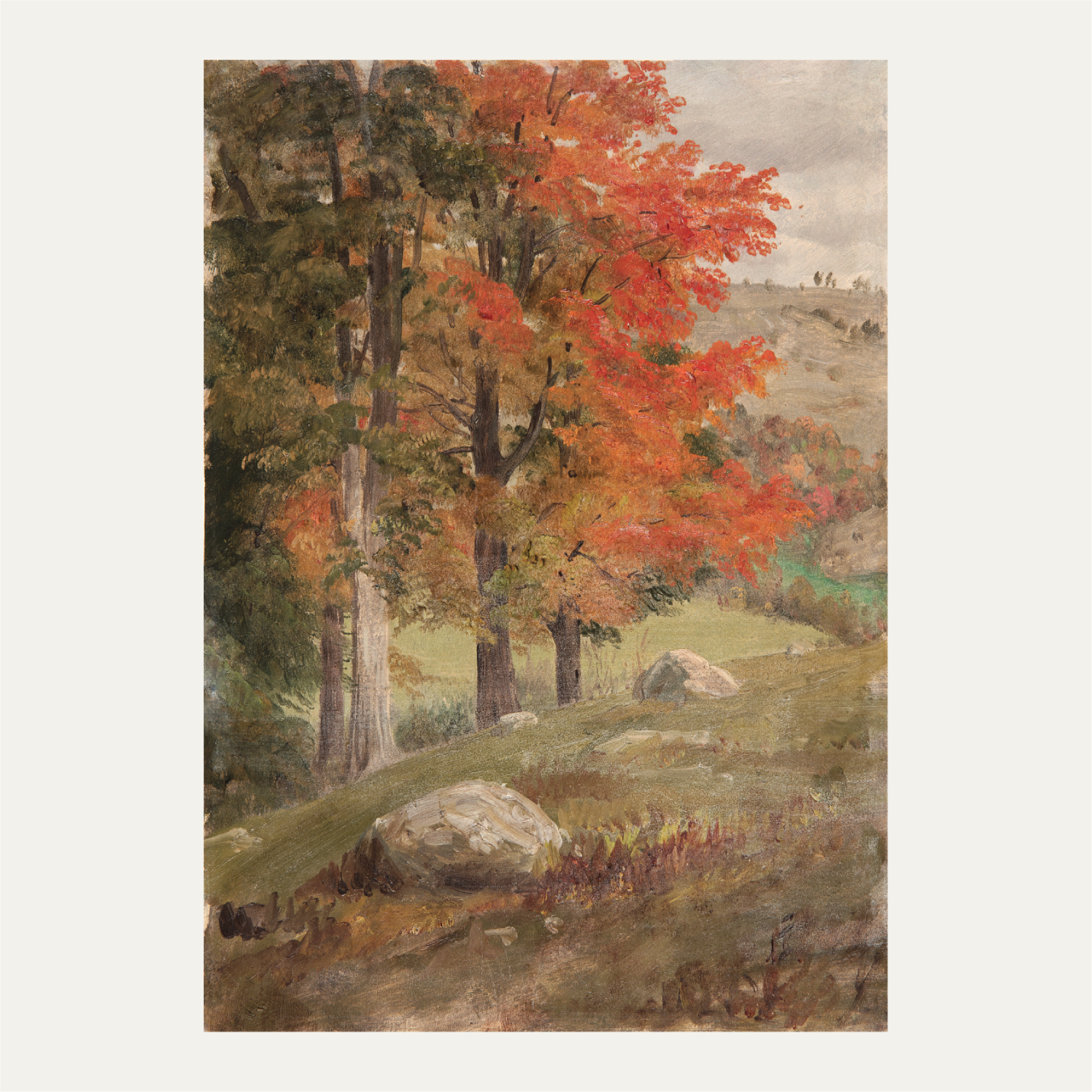 Woods in Autumn