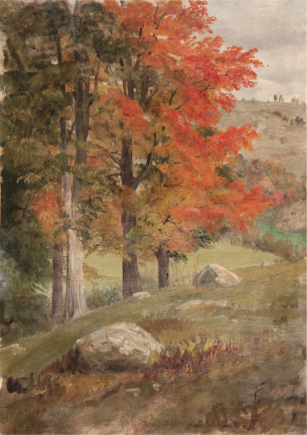 Woods in Autumn