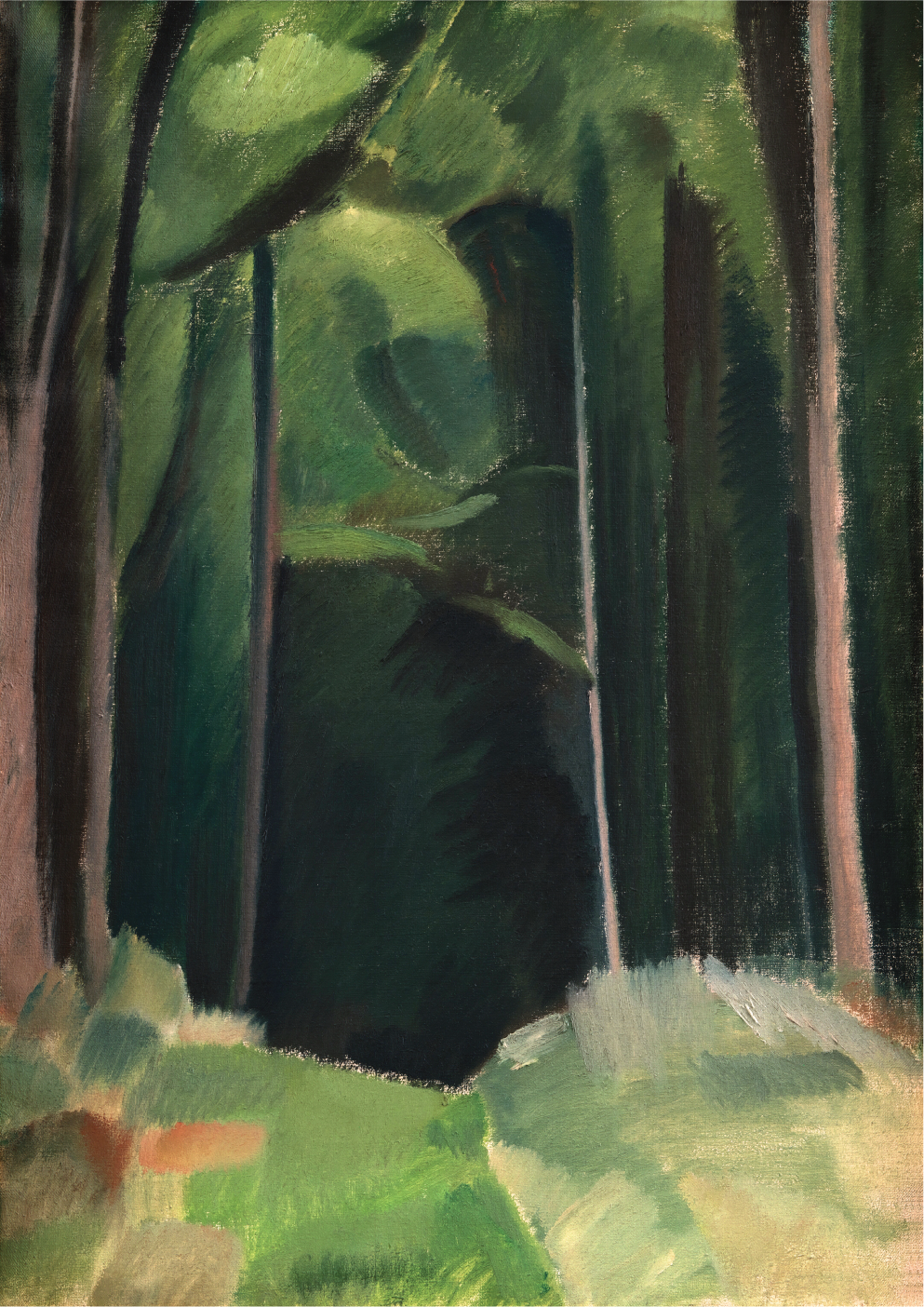 Inside the Wood