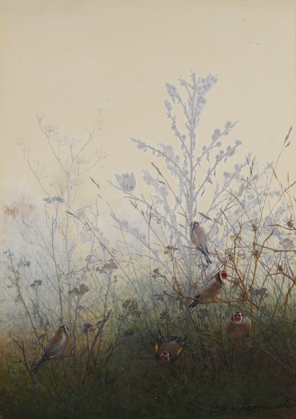 Goldfinches