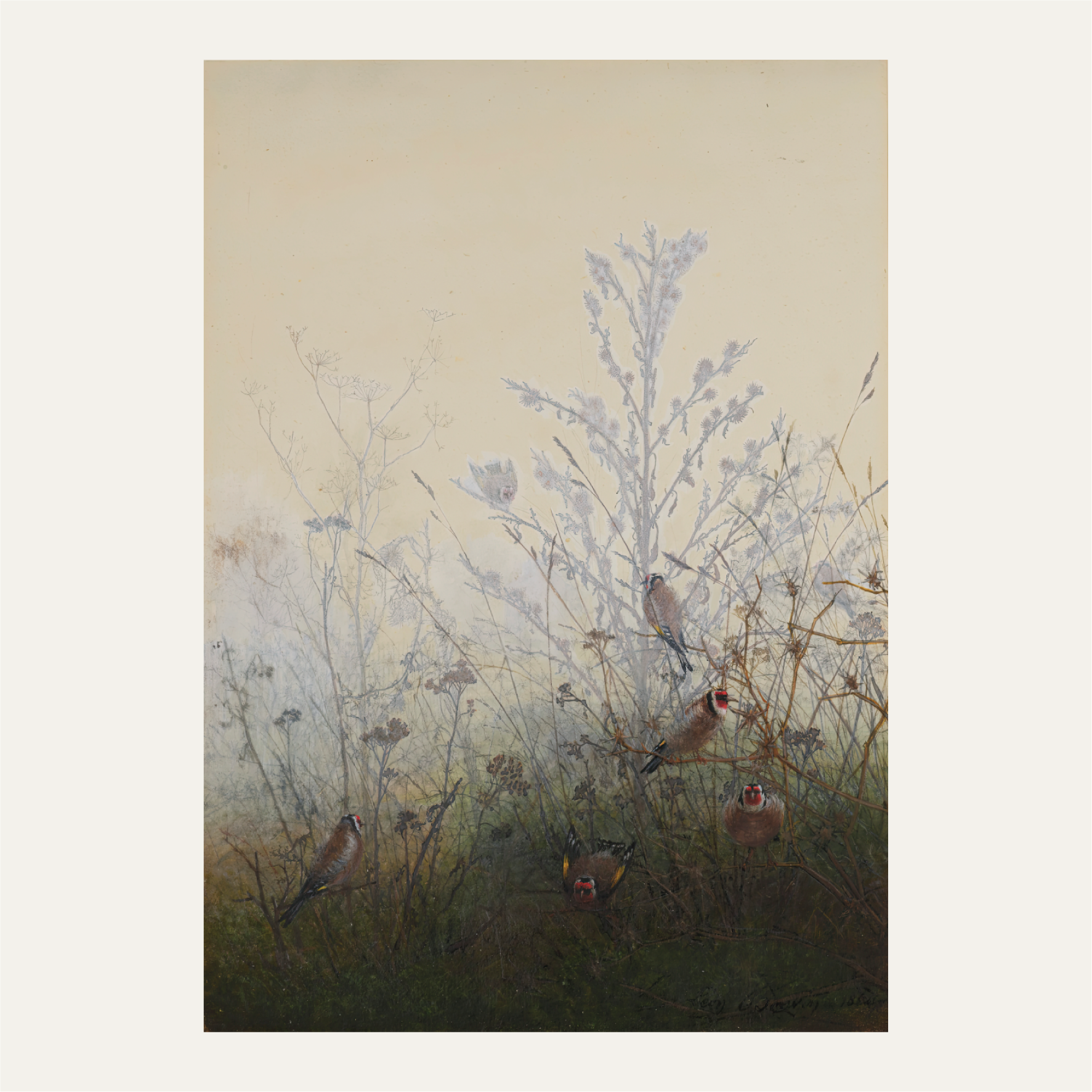 Goldfinches