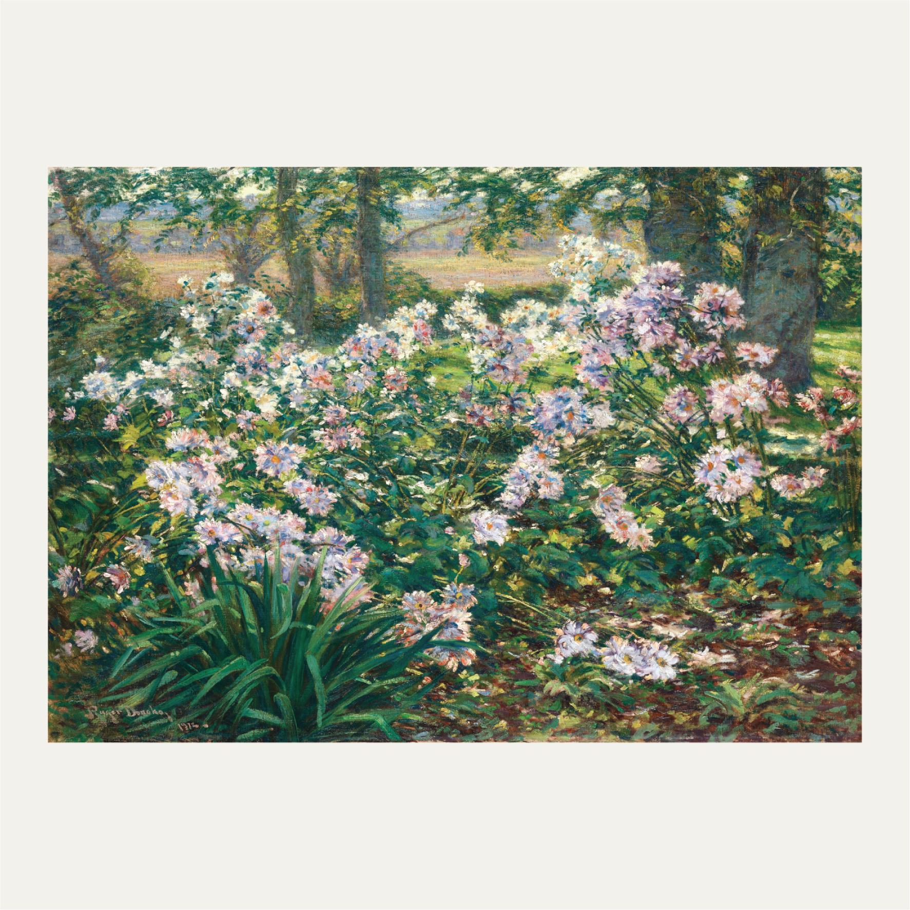 Windflowers