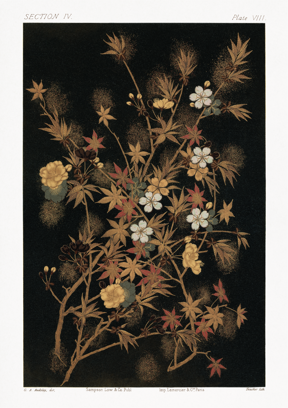 Japanese Autumn flowers & trees