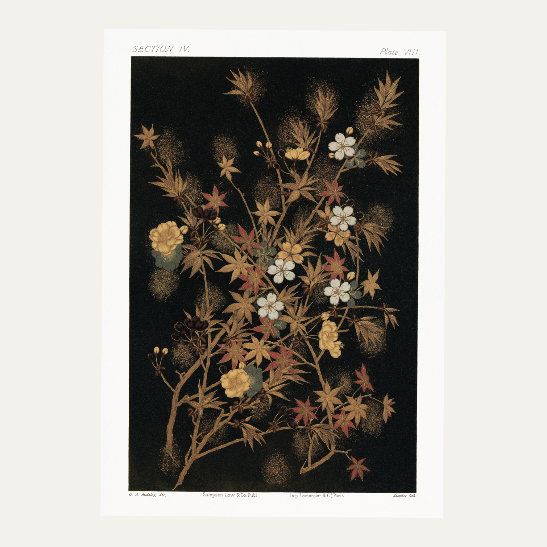 Japanese Autumn flowers & trees