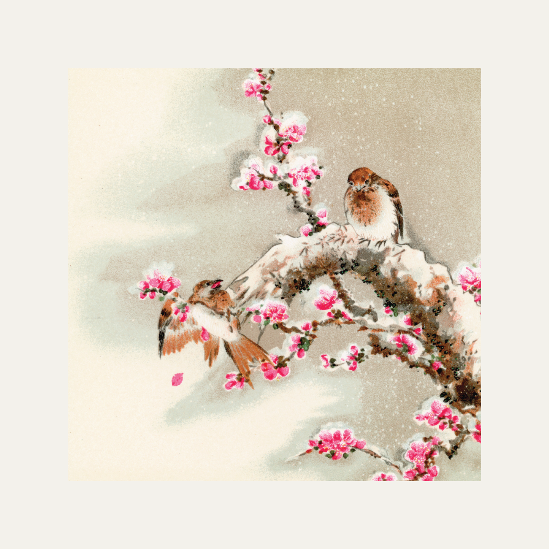 Bird perching on tree top