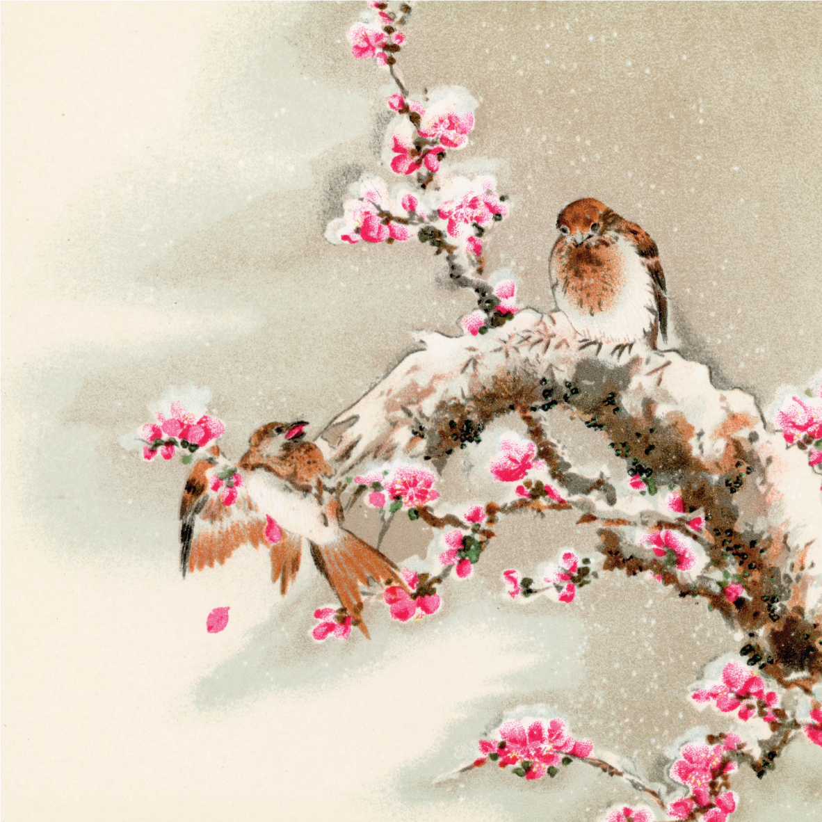 Bird perching on tree top