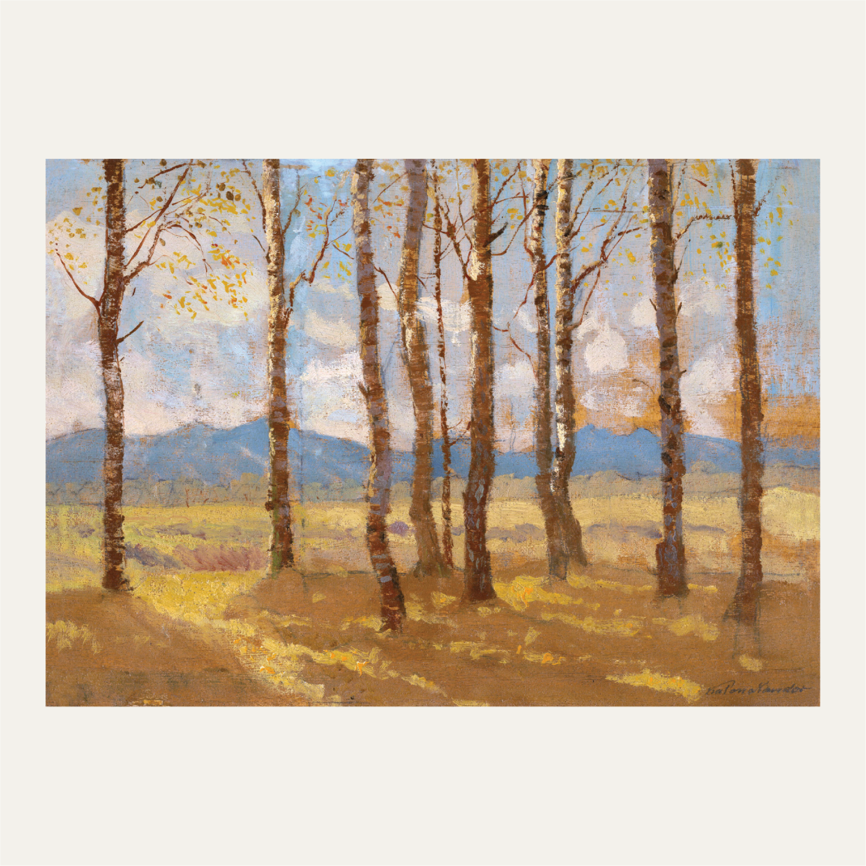 Birches in autumn