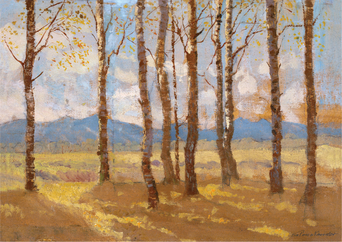 Birches in autumn