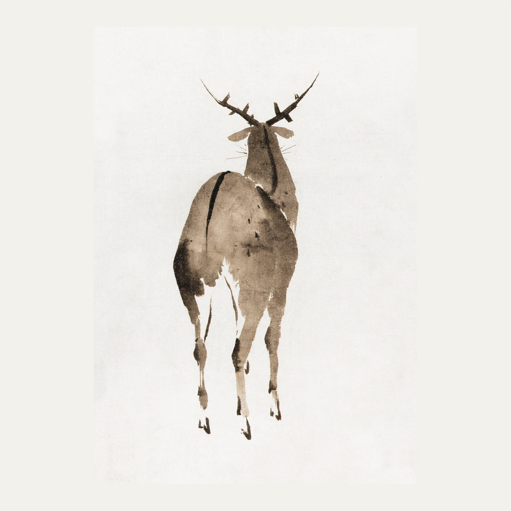 Deer