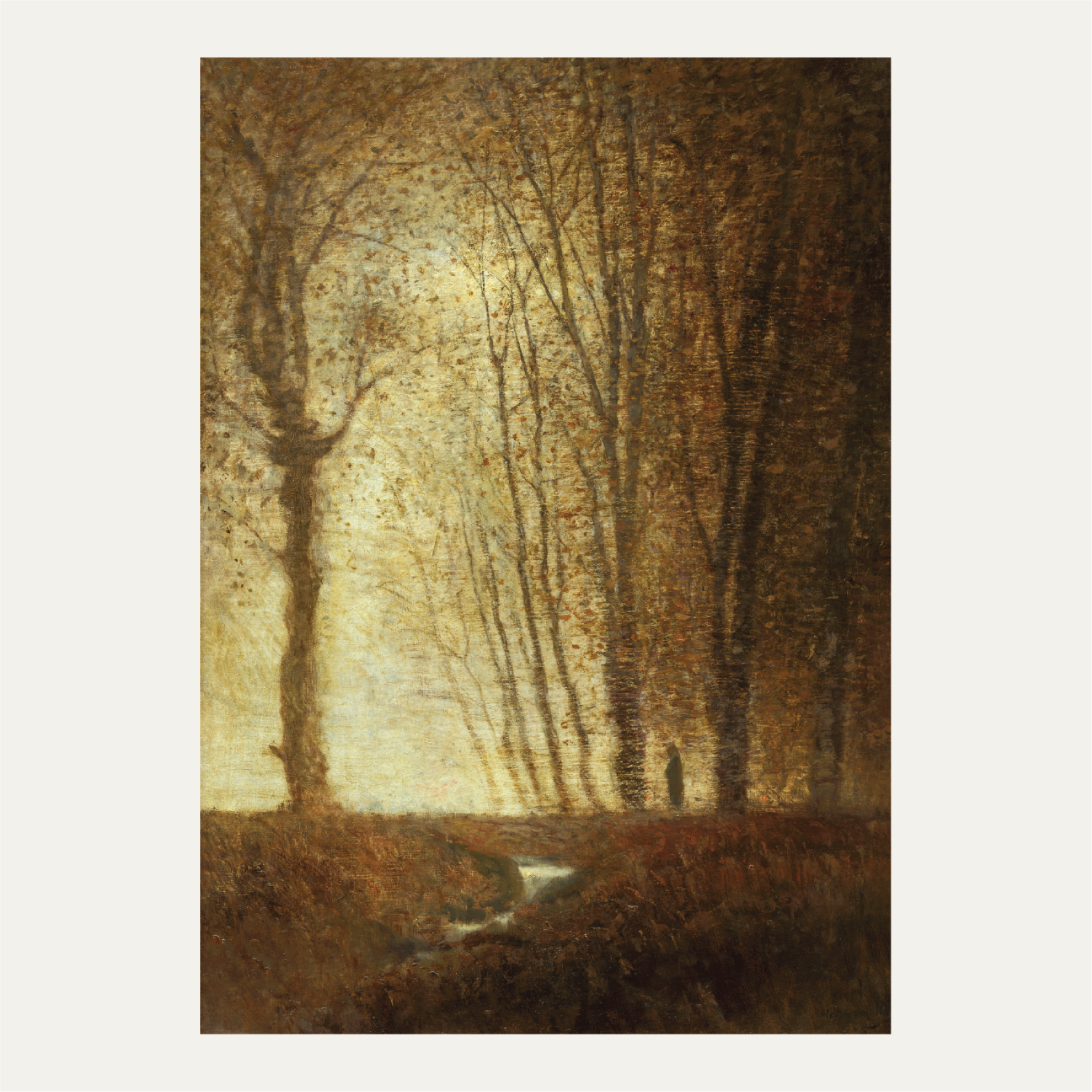 Edge of the forest in the moonlight