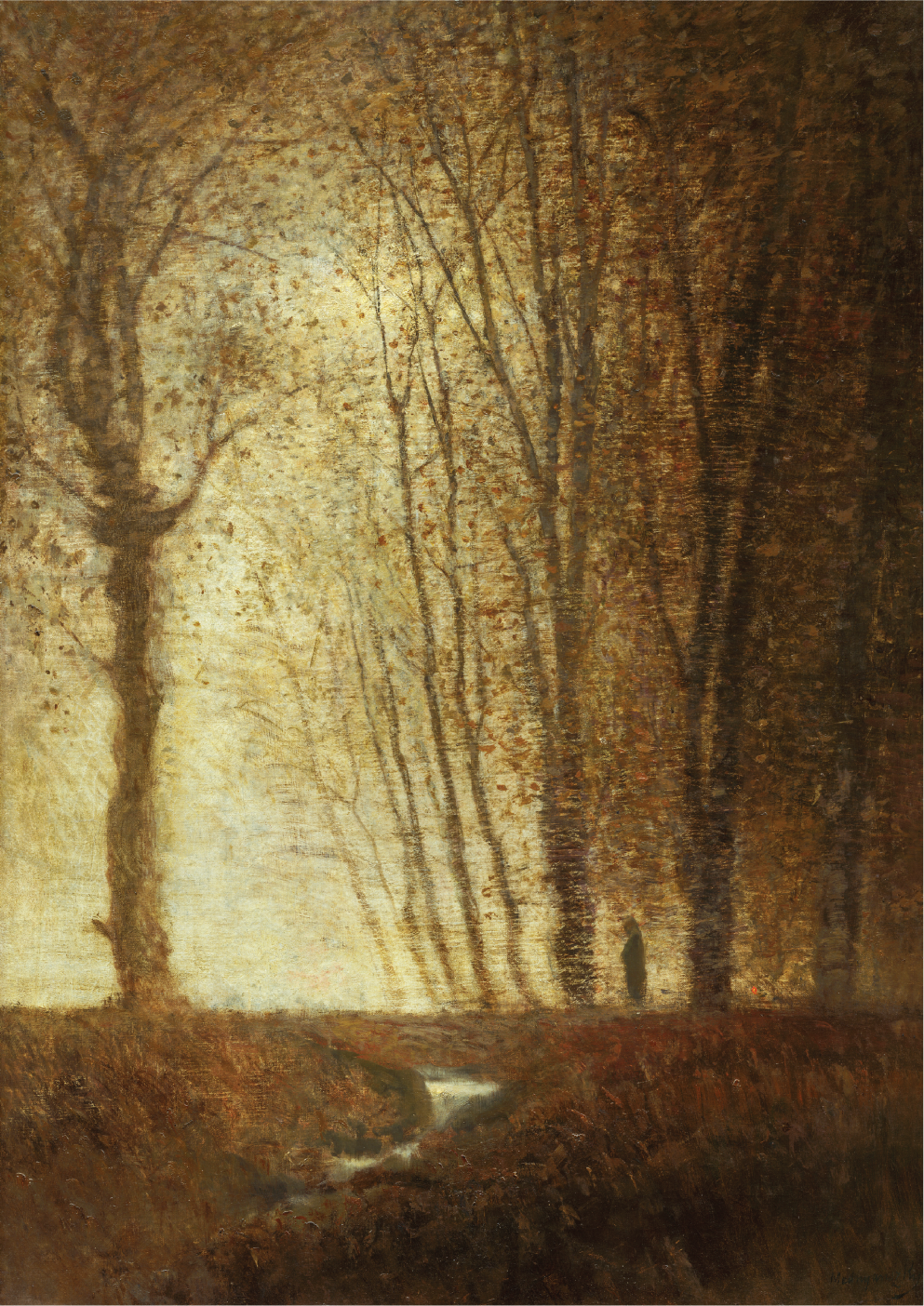 Edge of the forest in the moonlight