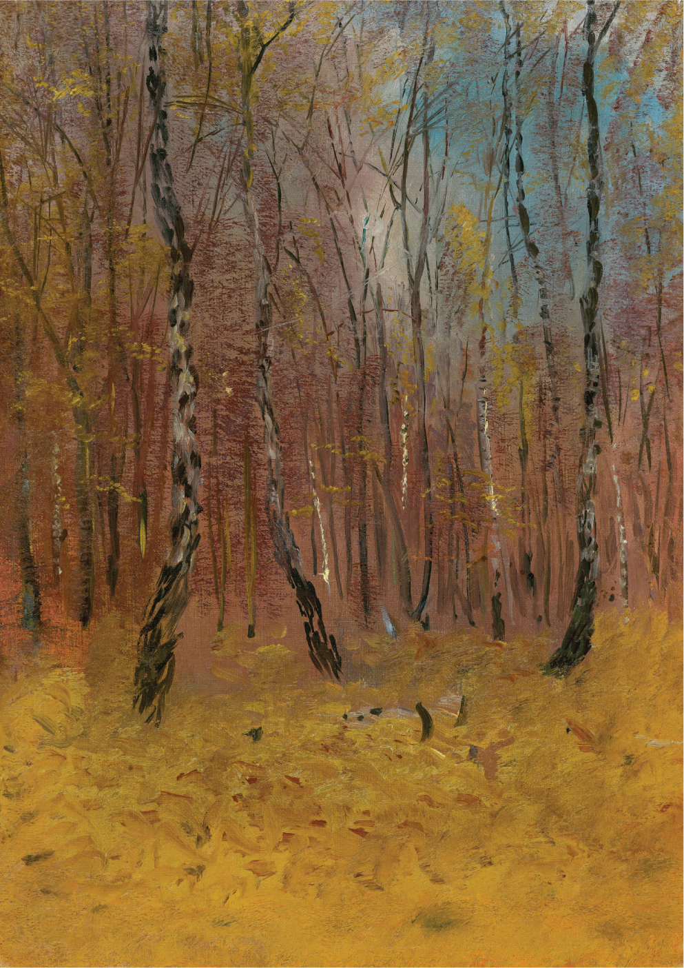 Autumn forest