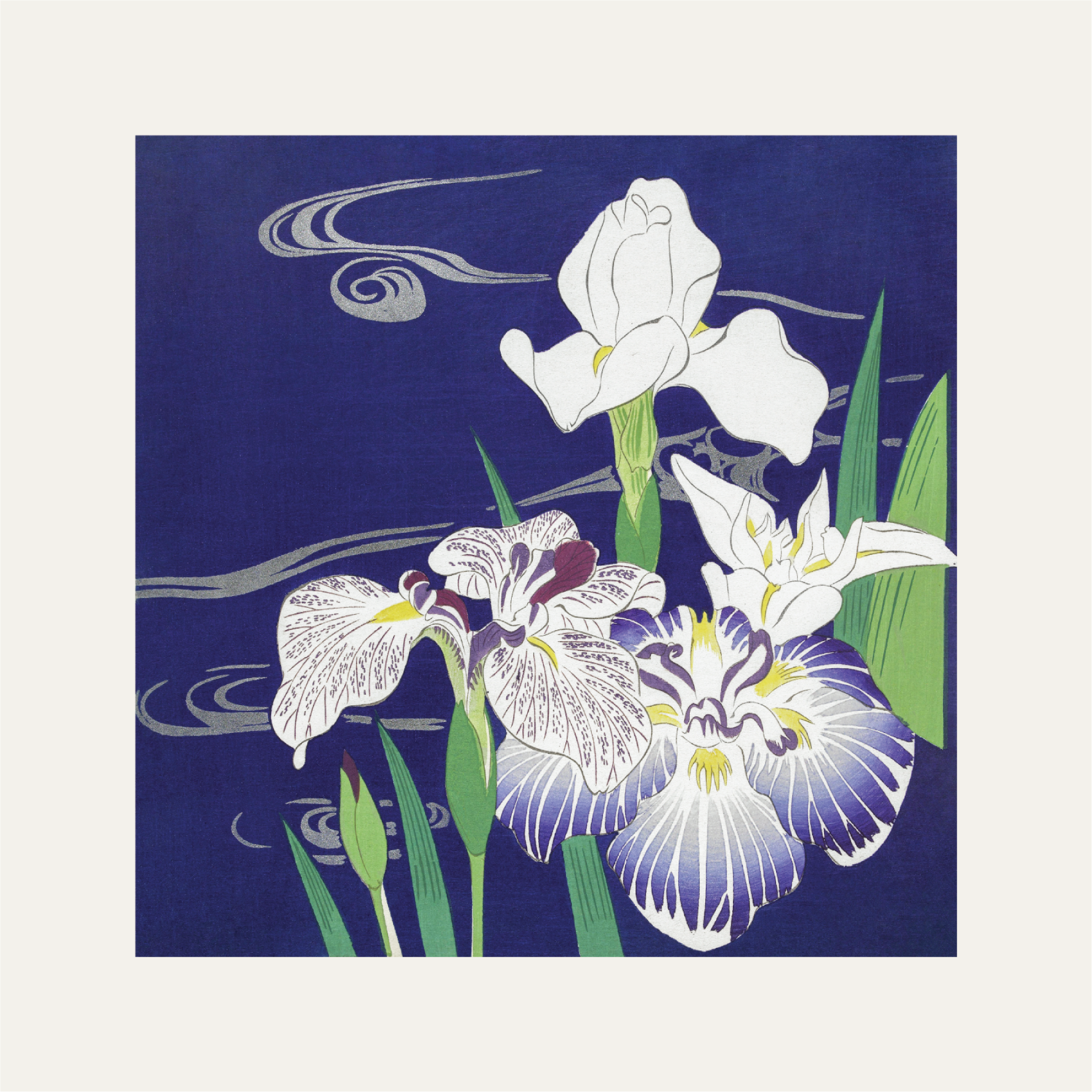 Irises