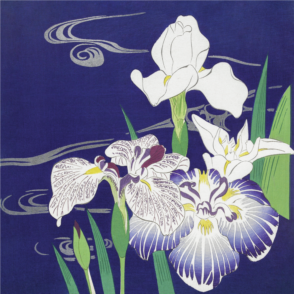 Irises