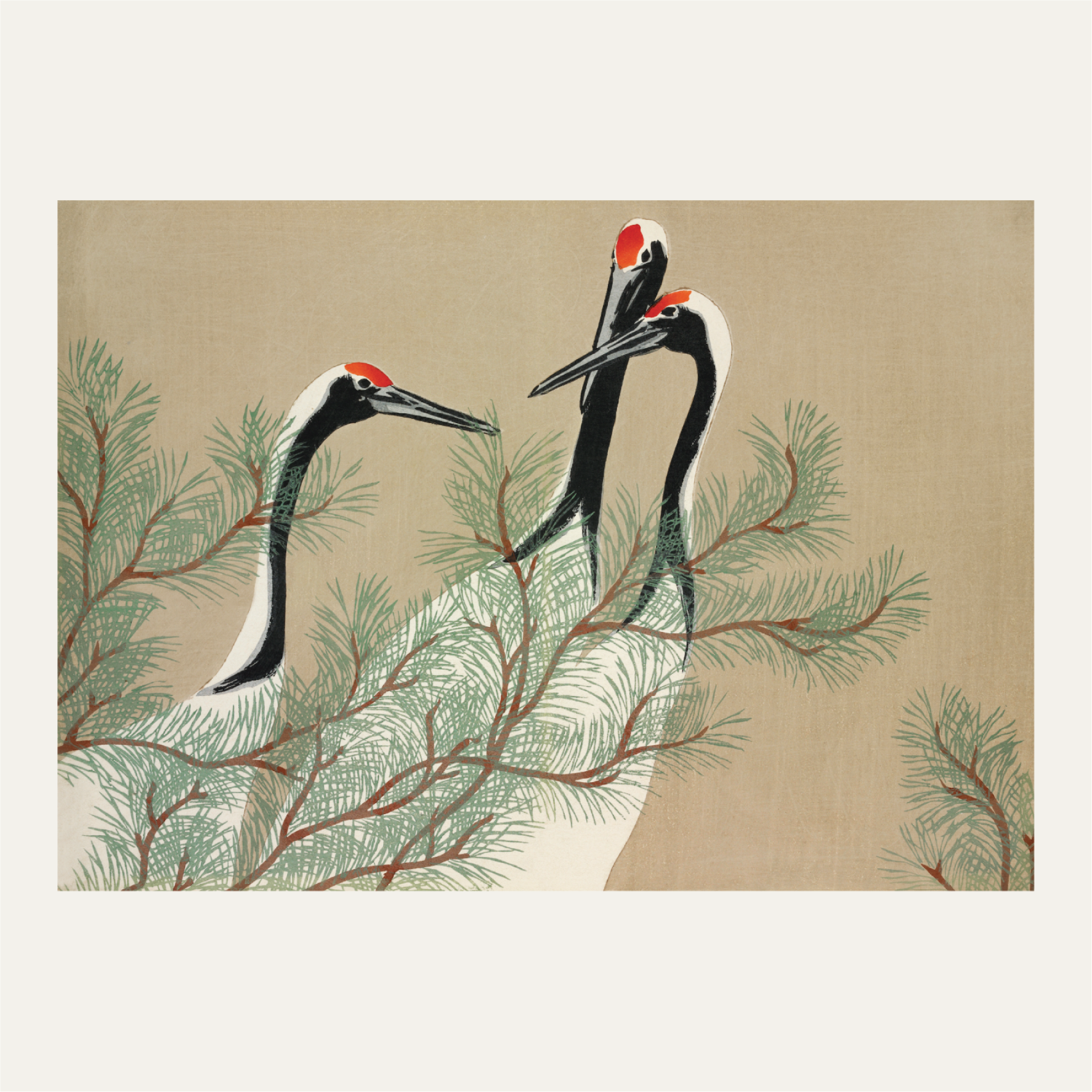 Cranes from Momoyogusa–Flowers of a Hundred Generations