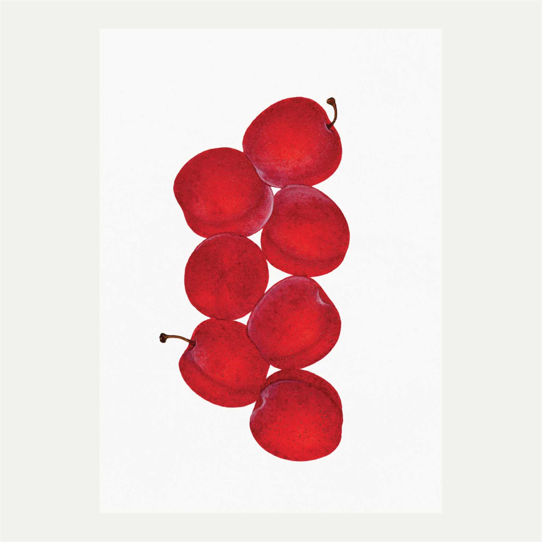 Vintage Plums Illustration