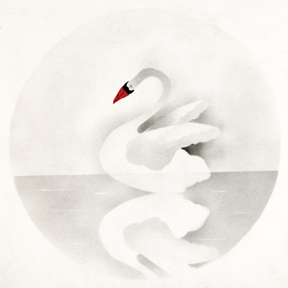 Swan