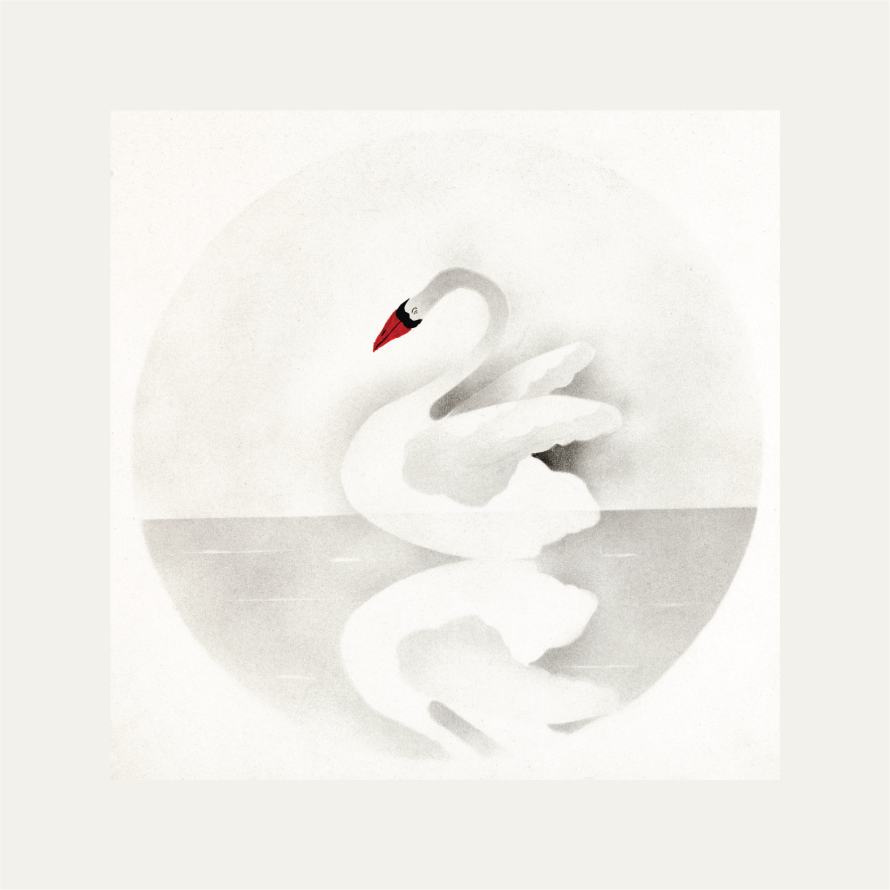 Swan