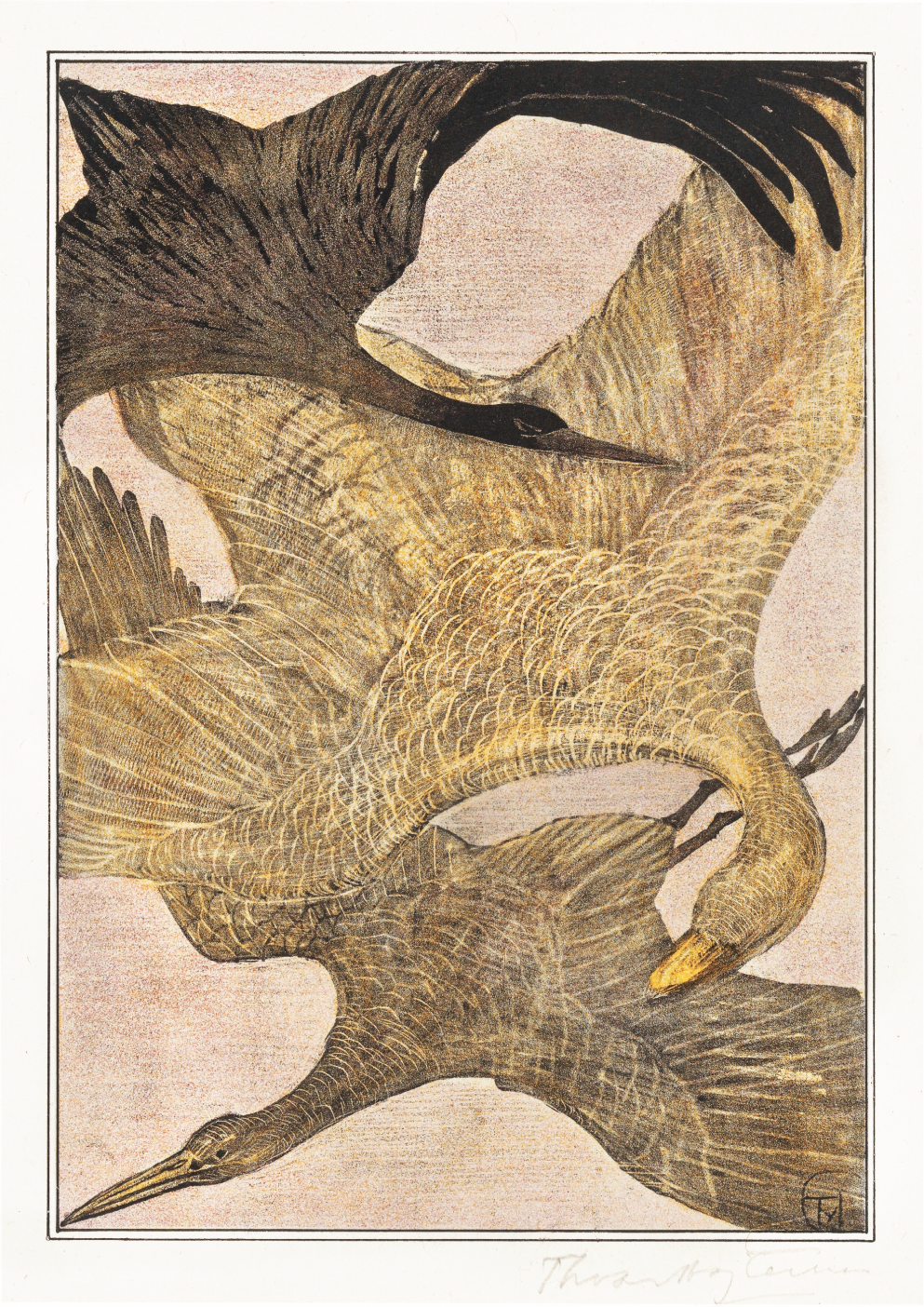 Drie vliegende vogels