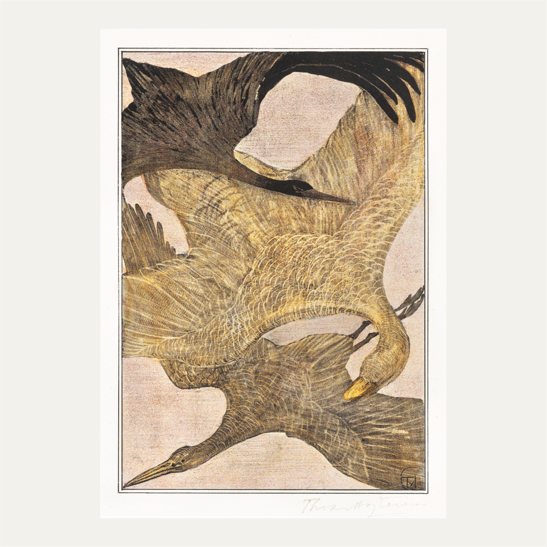 Drie vliegende vogels