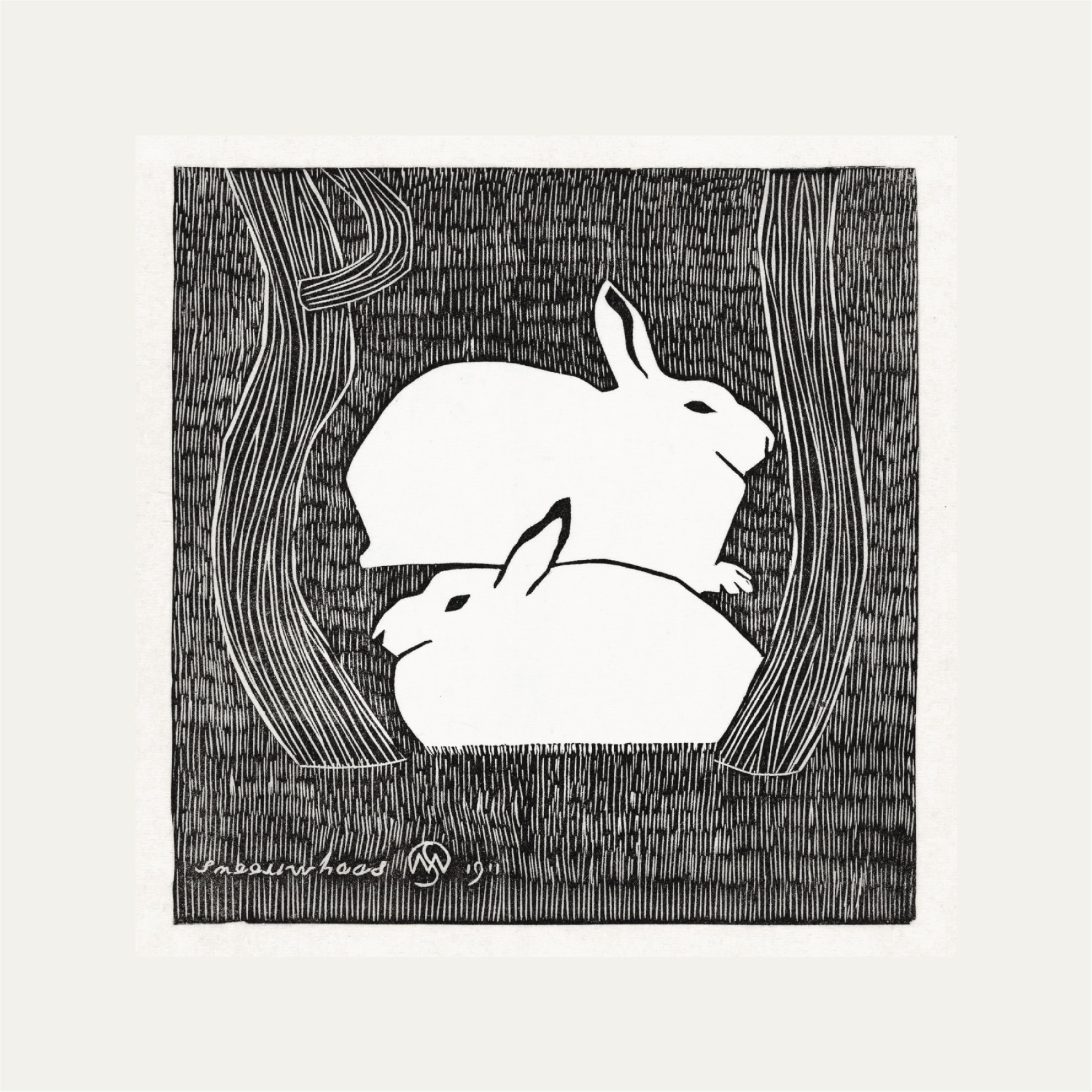 Twee sneeuwhazen (Two snow hares)