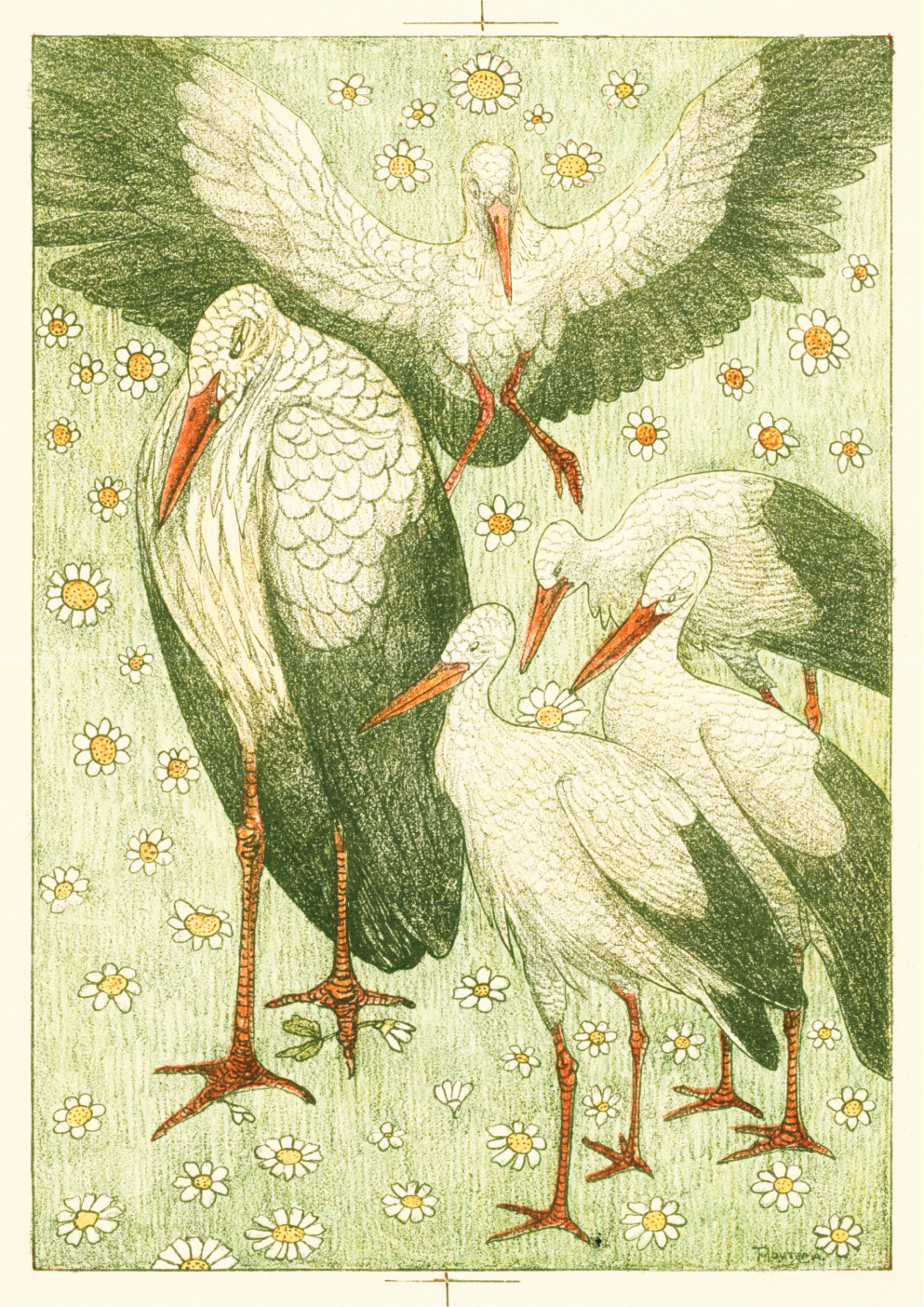Five storks in a meadow