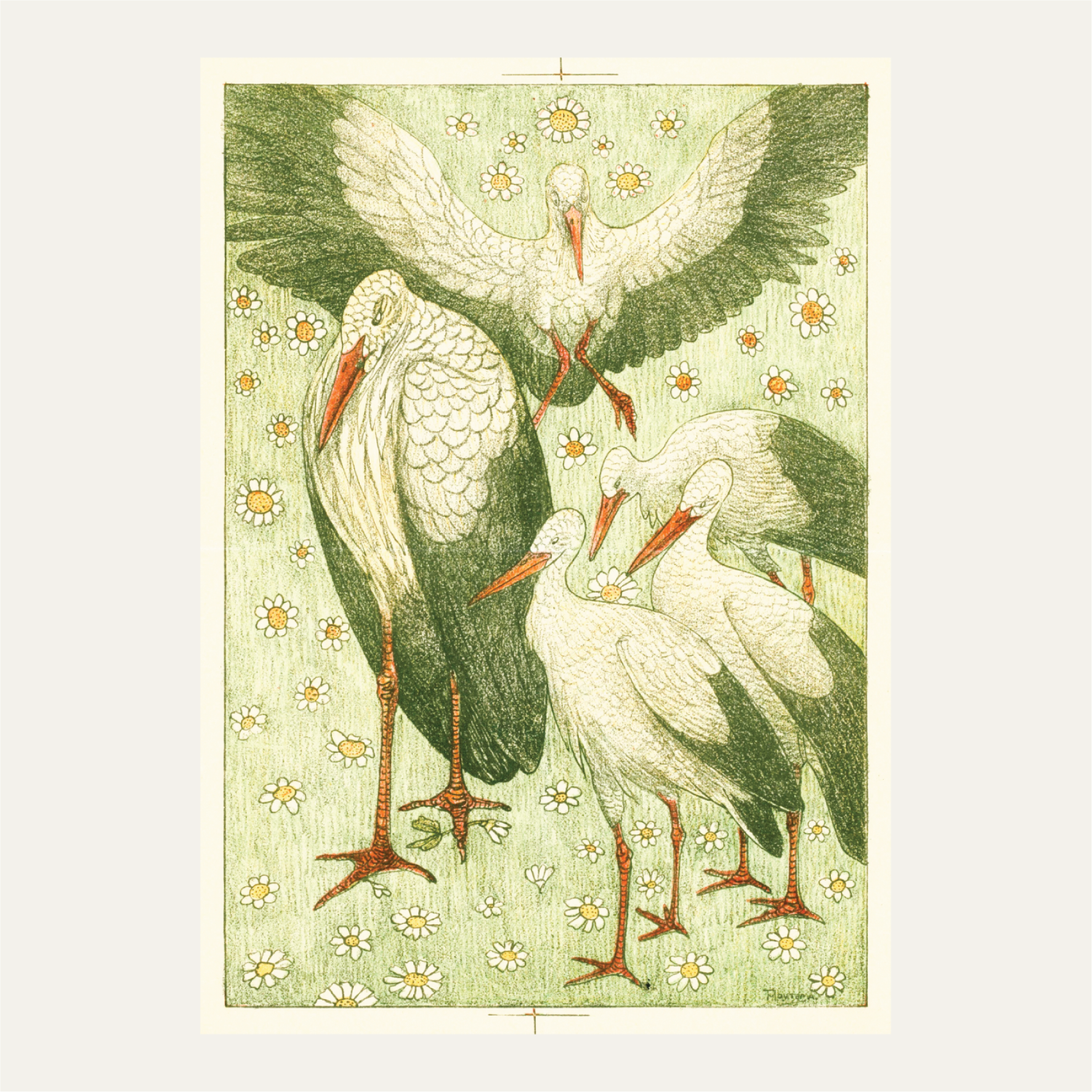 Five storks in a meadow