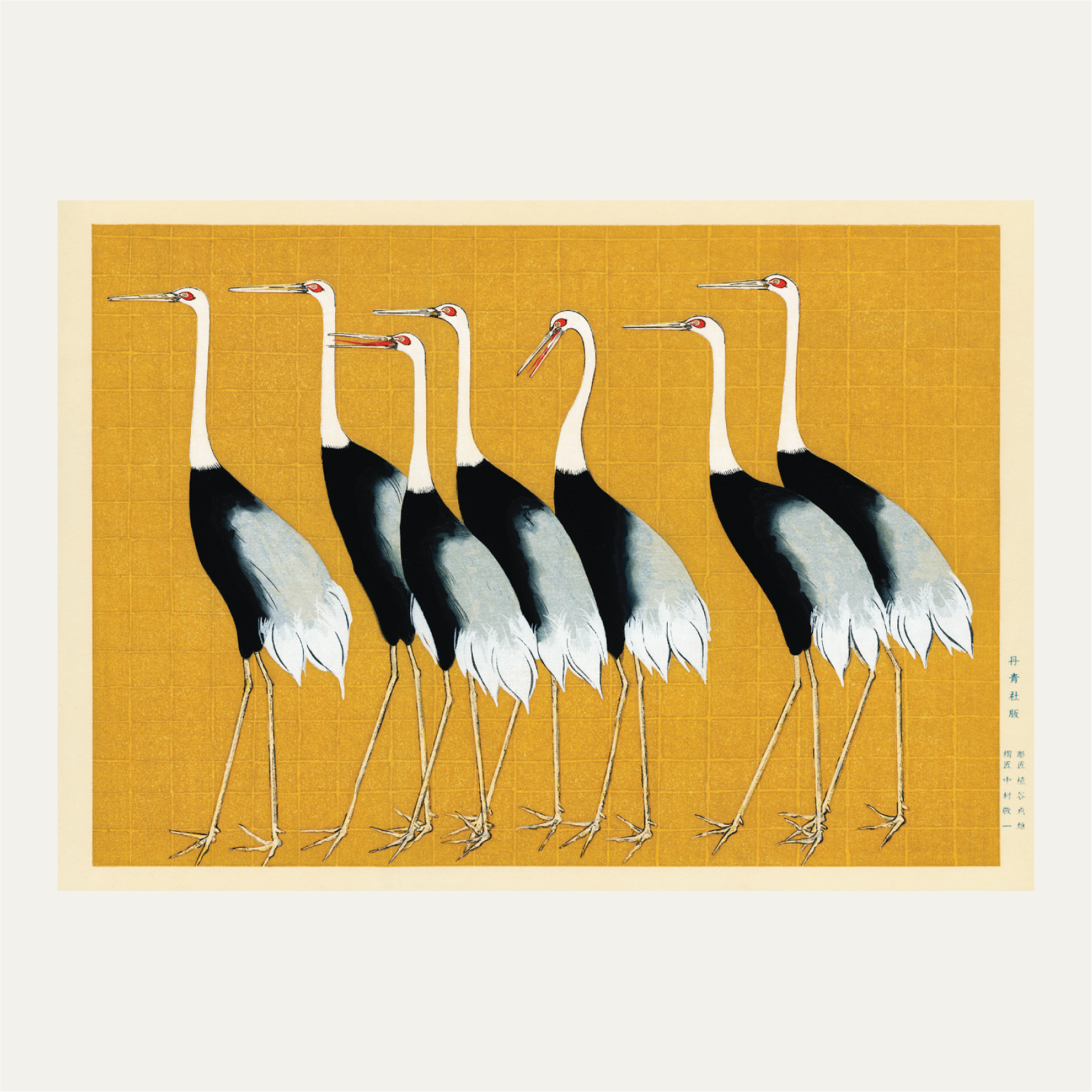 Traditional portrait of a flock of beautiful Japanese red crowned crane