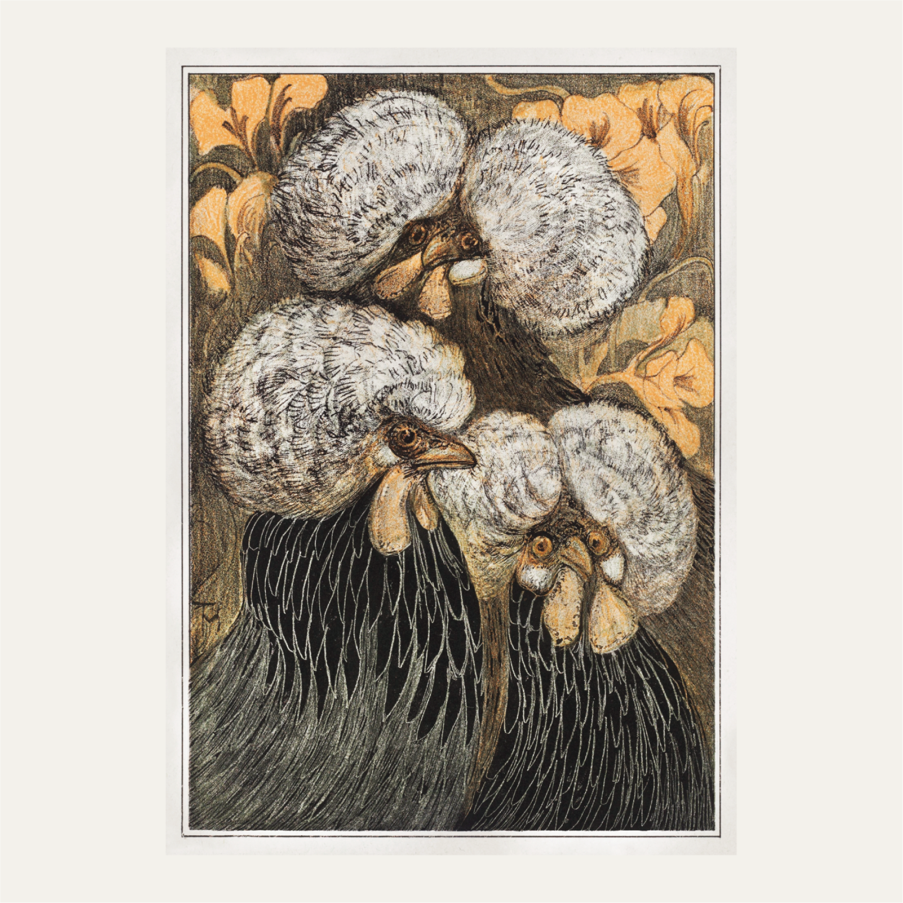 Three crested chickens