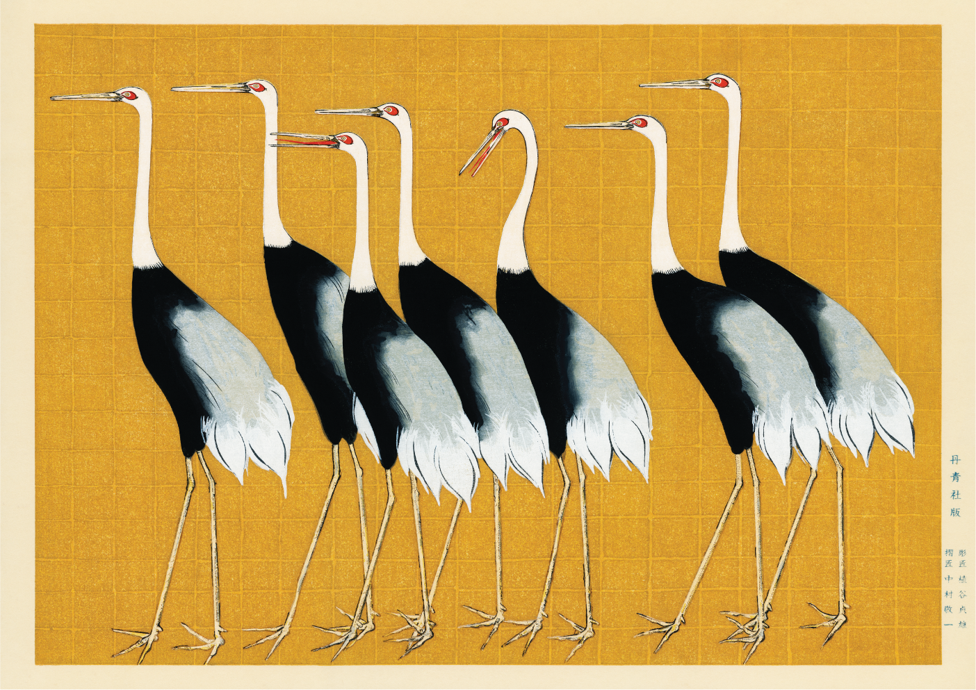 Traditional portrait of a flock of beautiful Japanese red crowned crane