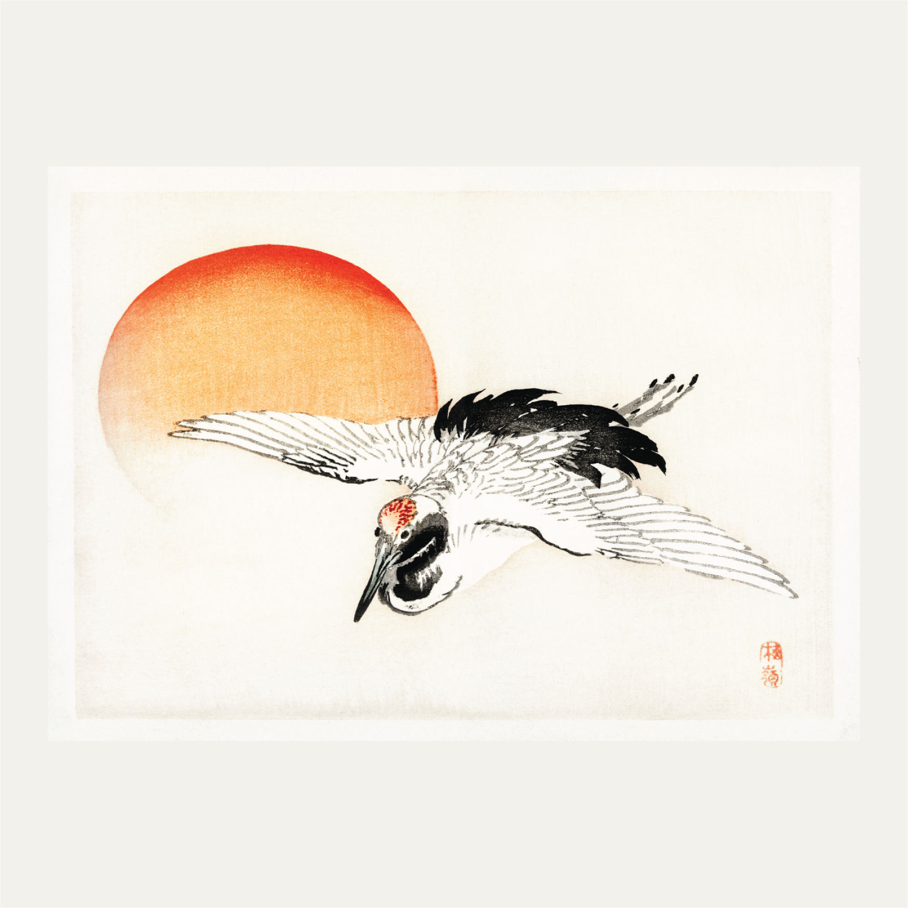 Flying crane