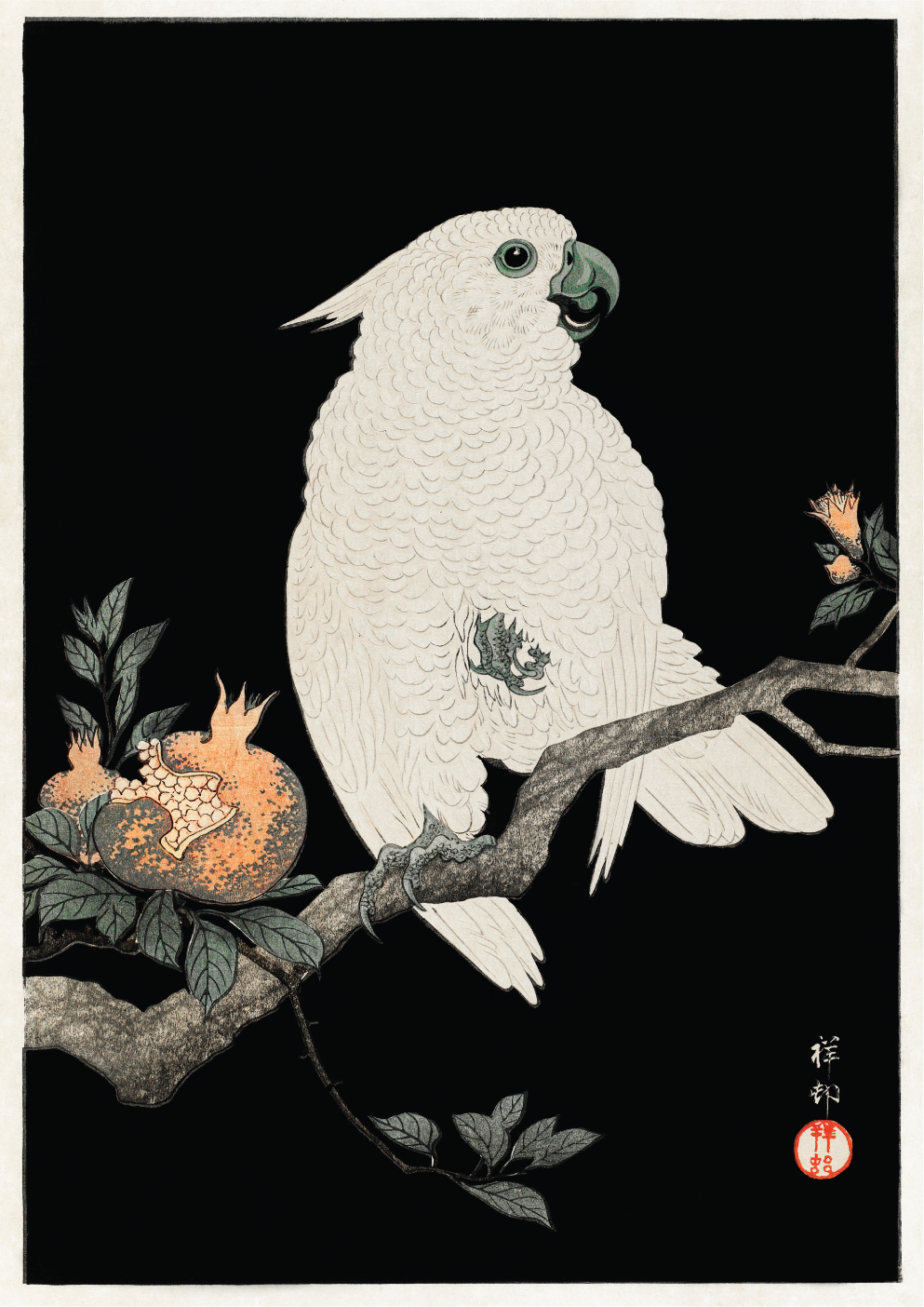 Cockatoo with pomegranate